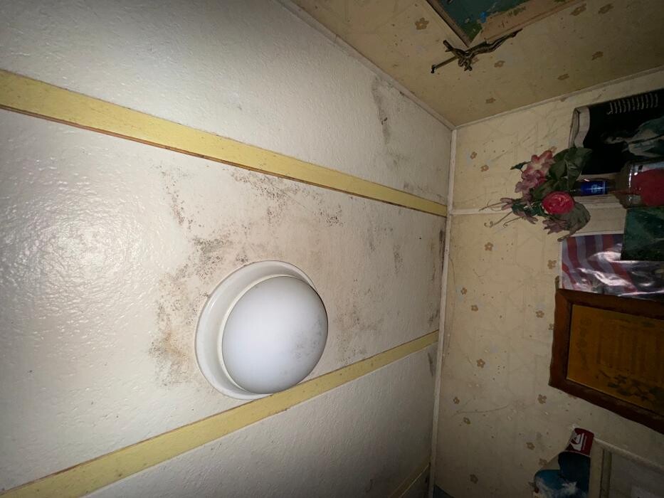 Images Guaranteed Property and Mold Inspection