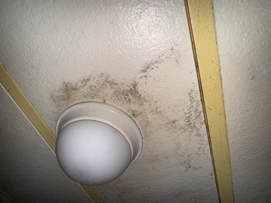 Images Guaranteed Property and Mold Inspection