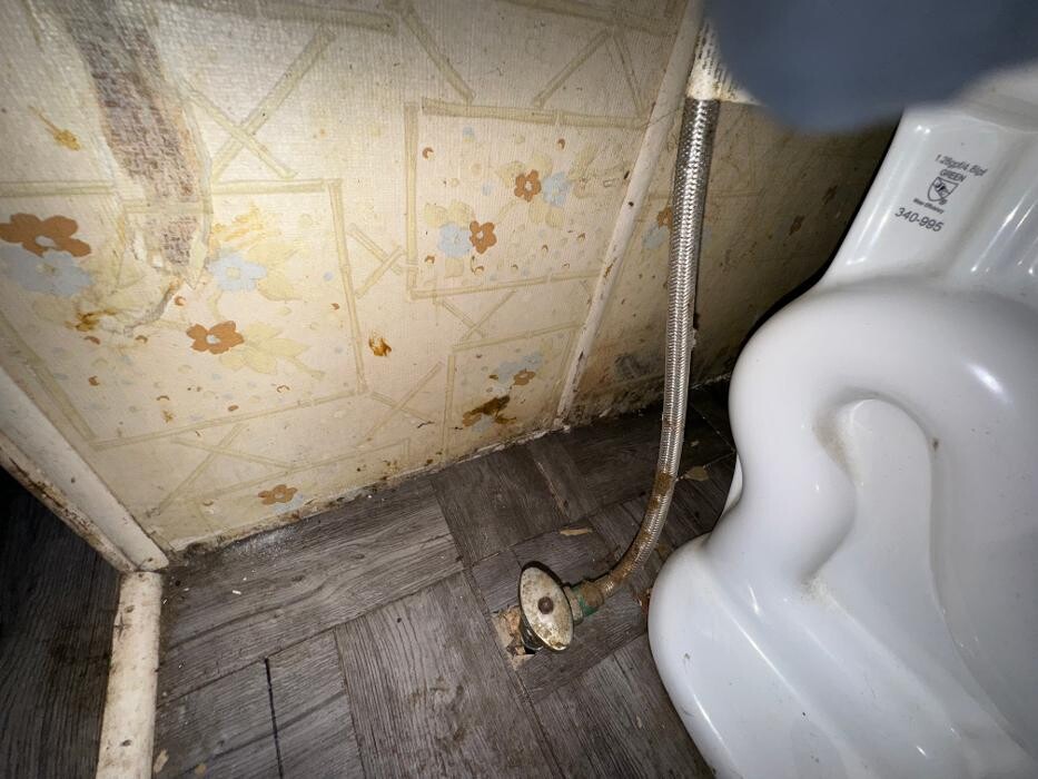 Images Guaranteed Property and Mold Inspection