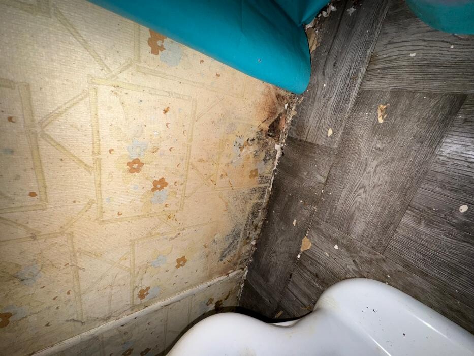 Images Guaranteed Property and Mold Inspection