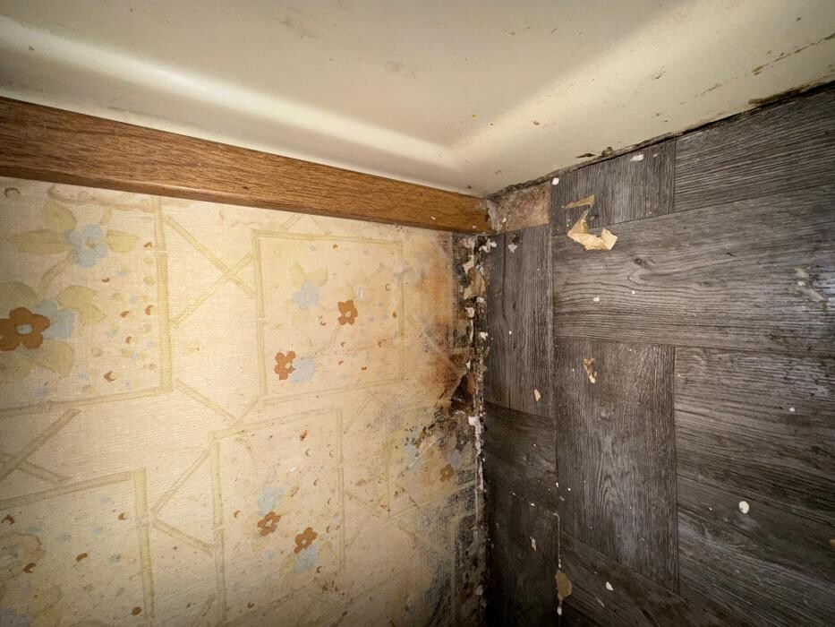 Images Guaranteed Property and Mold Inspection