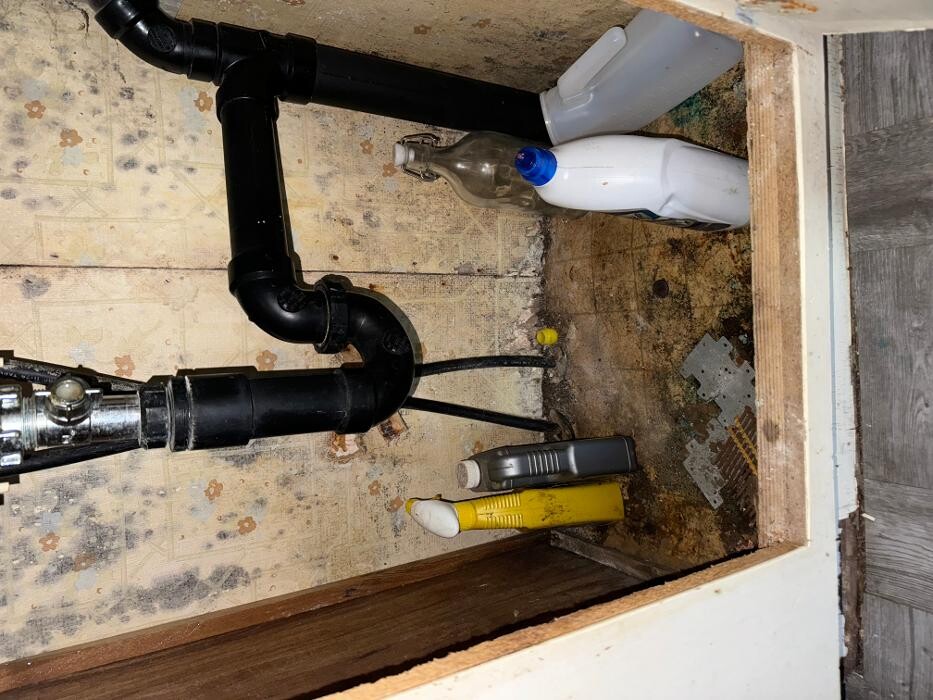 Images Guaranteed Property and Mold Inspection