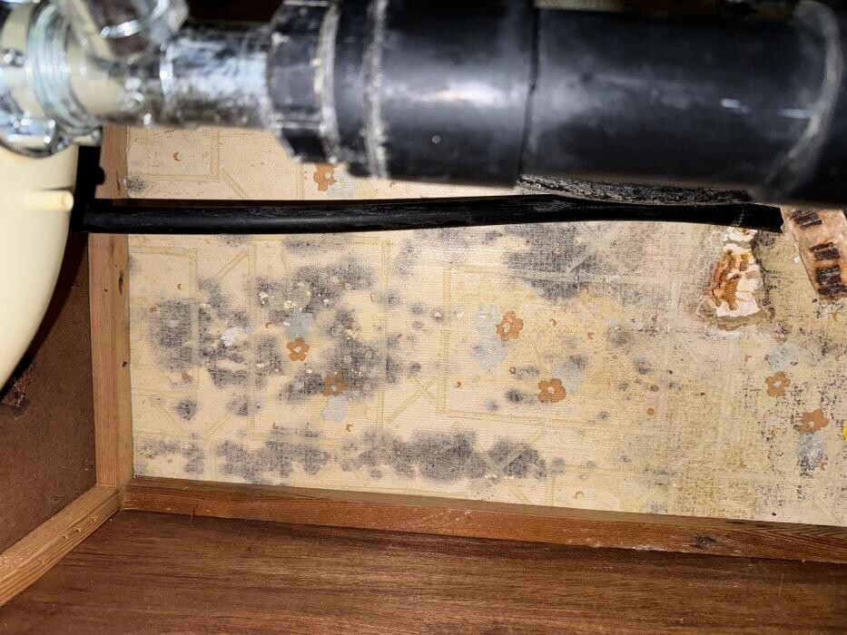 Images Guaranteed Property and Mold Inspection