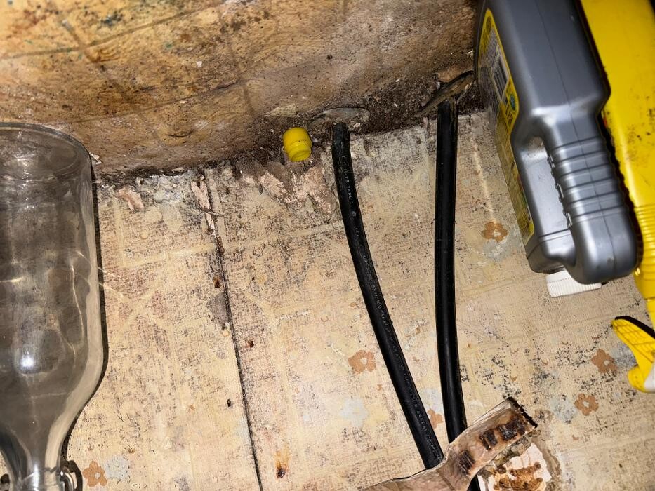 Images Guaranteed Property and Mold Inspection