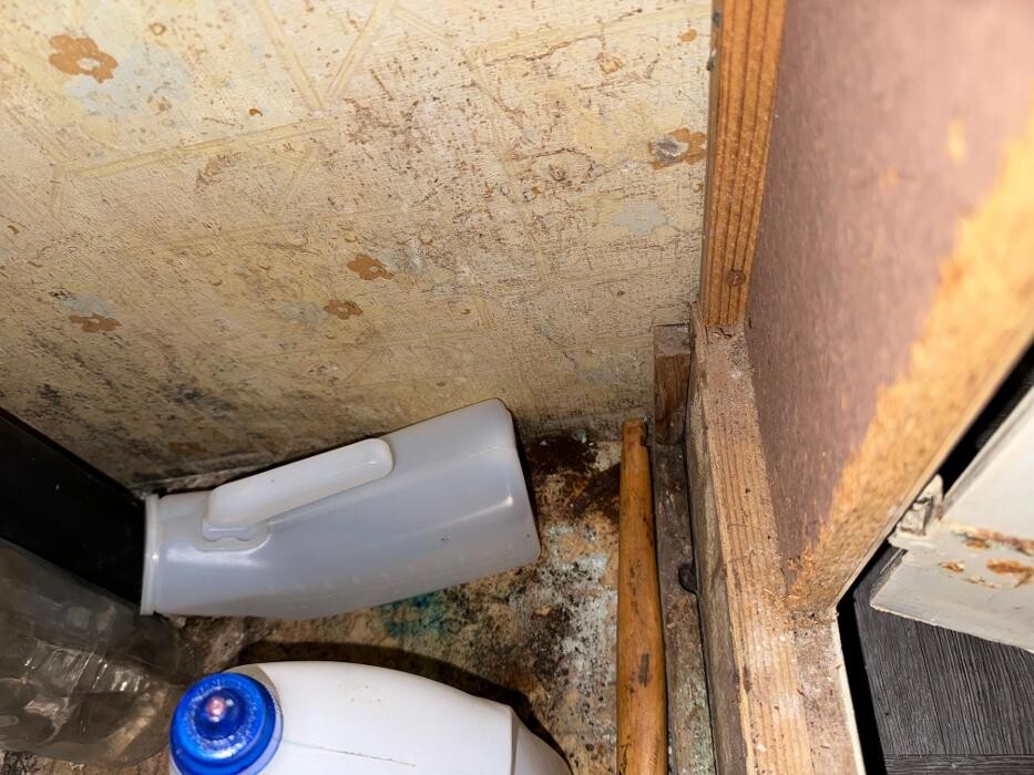 Images Guaranteed Property and Mold Inspection