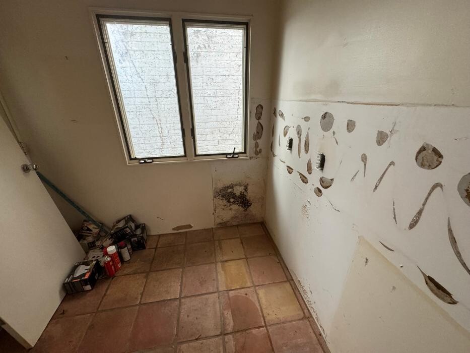 Images Guaranteed Property and Mold Inspection