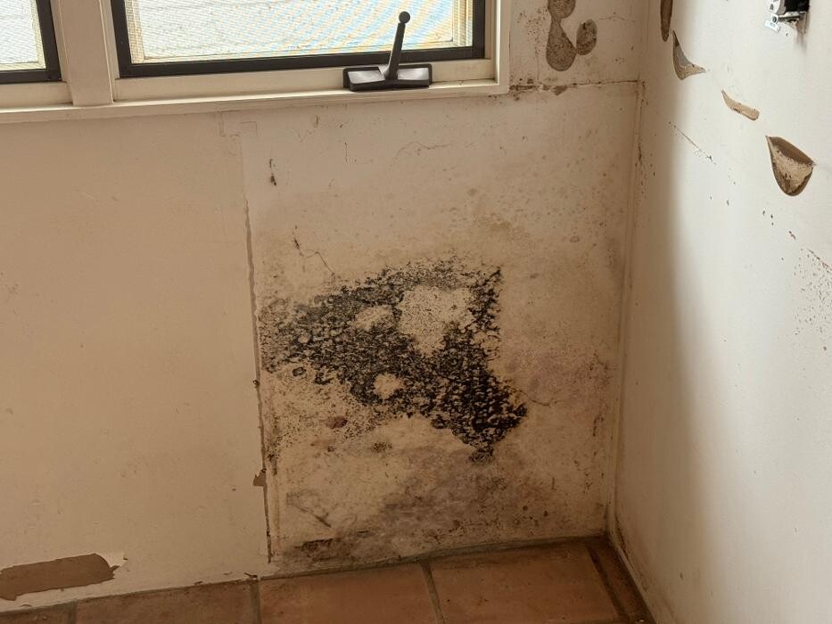 Images Guaranteed Property and Mold Inspection
