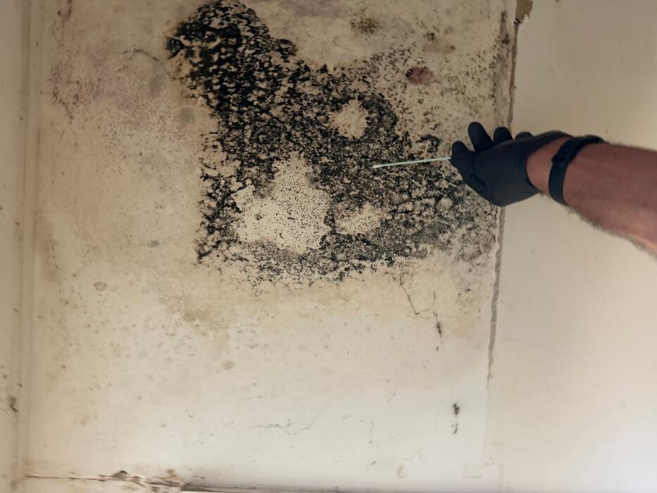 Images Guaranteed Property and Mold Inspection