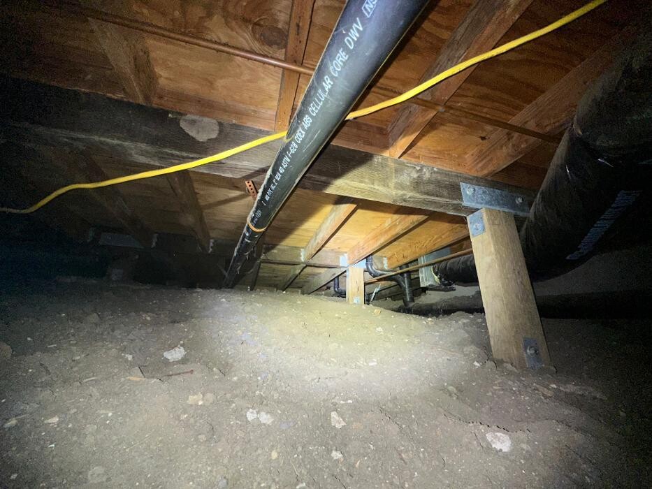 Images Guaranteed Property and Mold Inspection