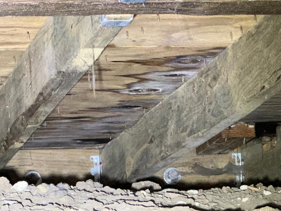 Images Guaranteed Property and Mold Inspection