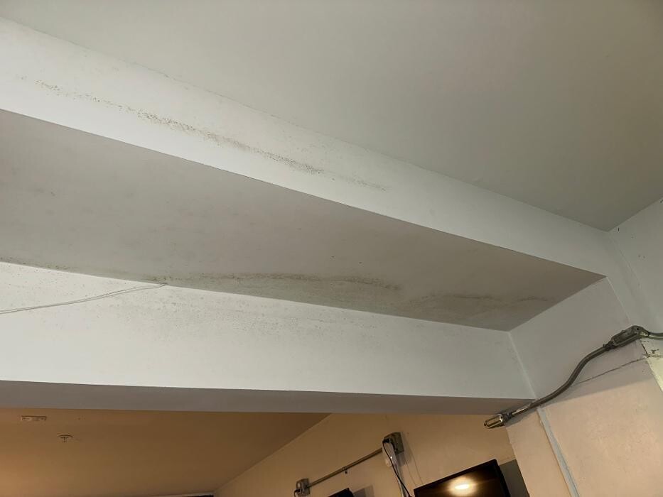 Images Guaranteed Property and Mold Inspection