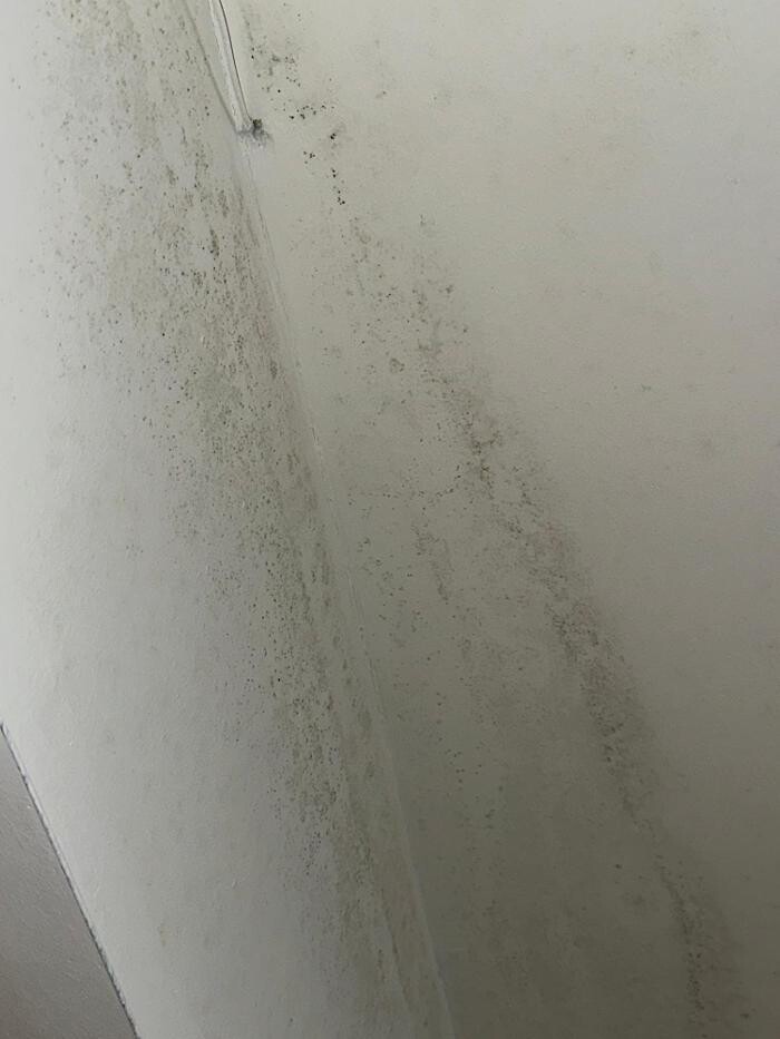 Images Guaranteed Property and Mold Inspection