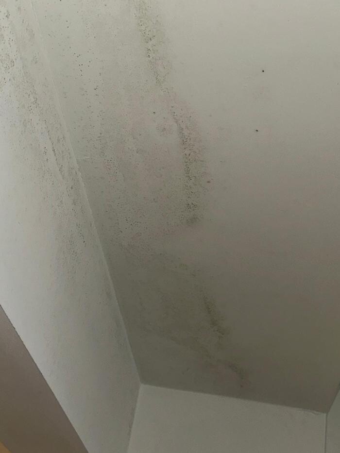Images Guaranteed Property and Mold Inspection