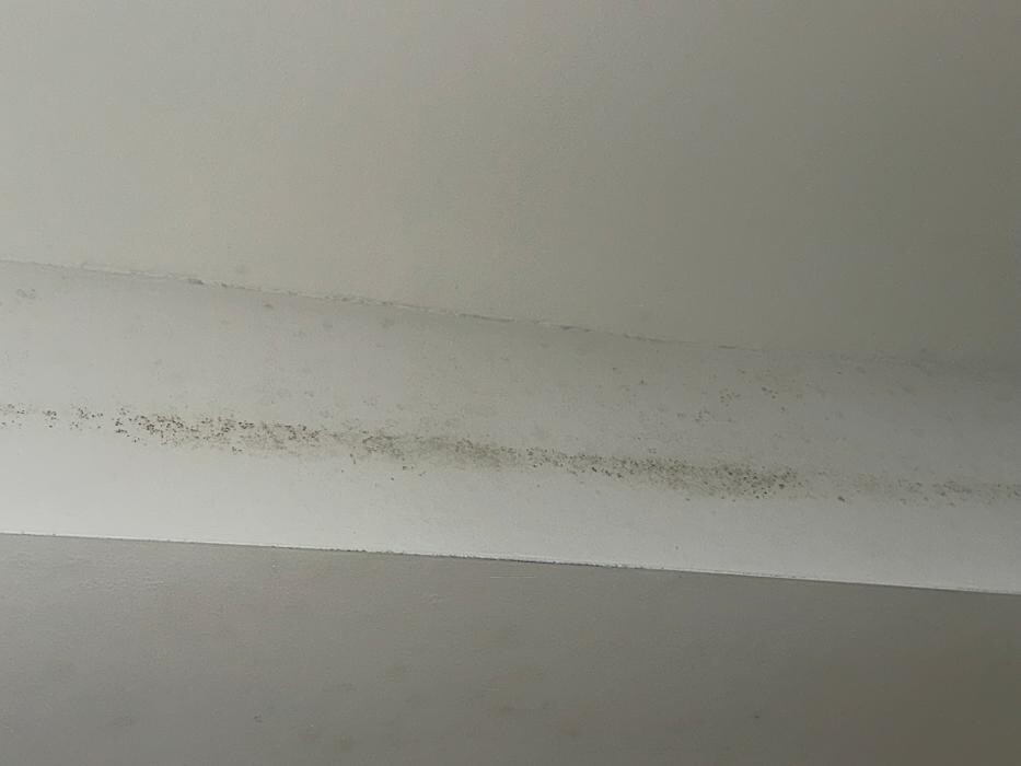 Images Guaranteed Property and Mold Inspection