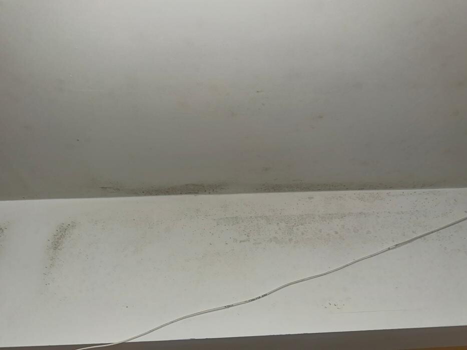 Images Guaranteed Property and Mold Inspection