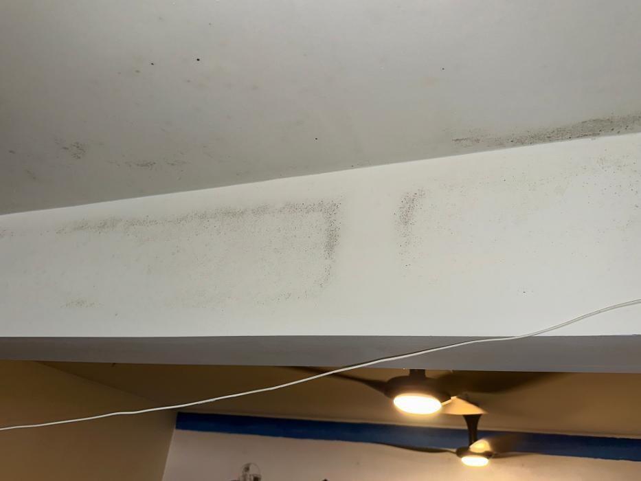 Images Guaranteed Property and Mold Inspection