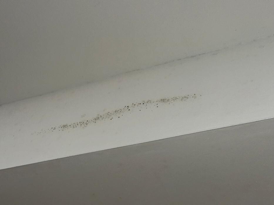 Images Guaranteed Property and Mold Inspection