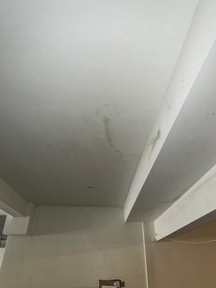 Images Guaranteed Property and Mold Inspection