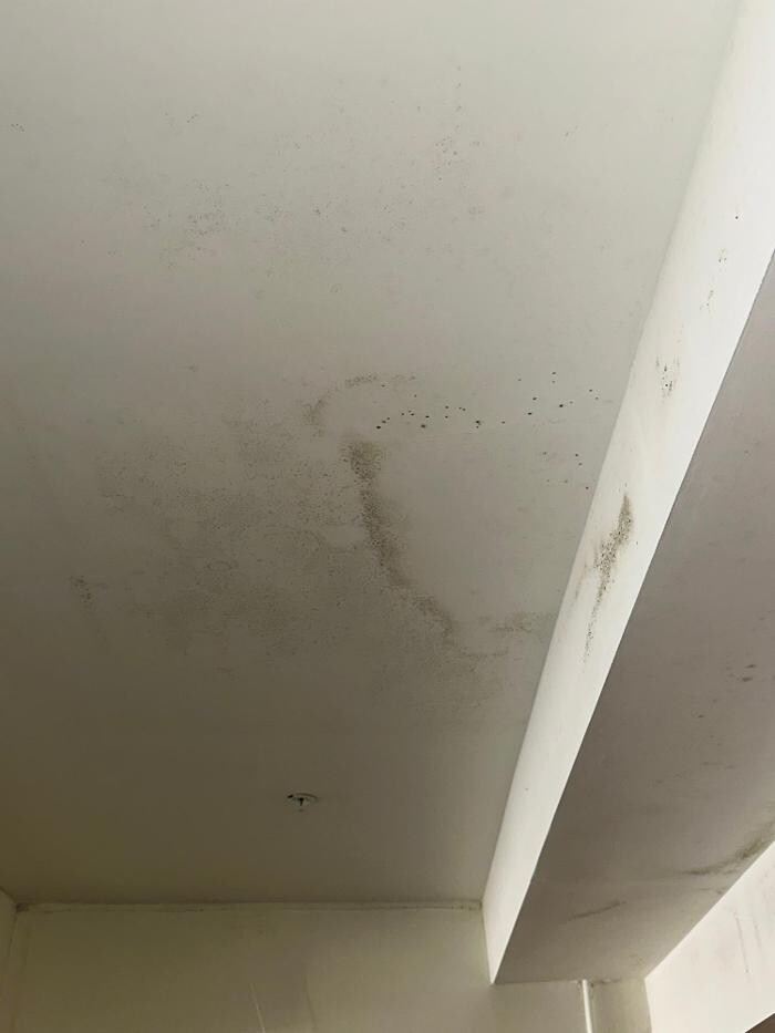 Images Guaranteed Property and Mold Inspection