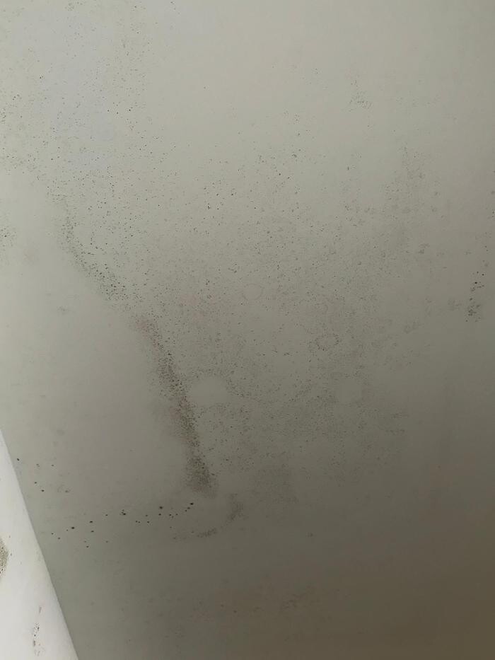 Images Guaranteed Property and Mold Inspection