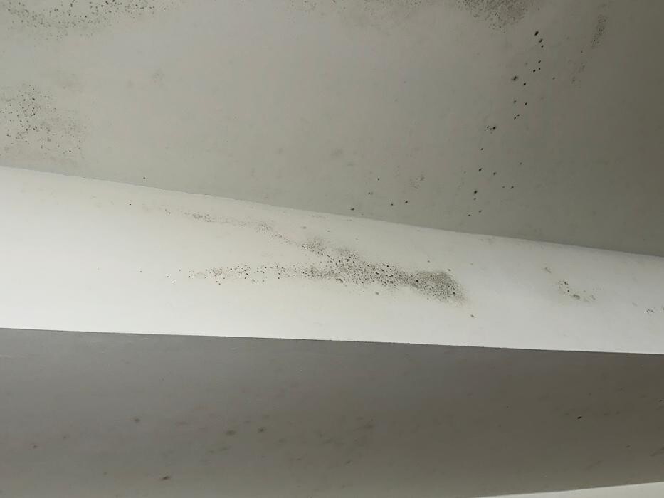 Images Guaranteed Property and Mold Inspection