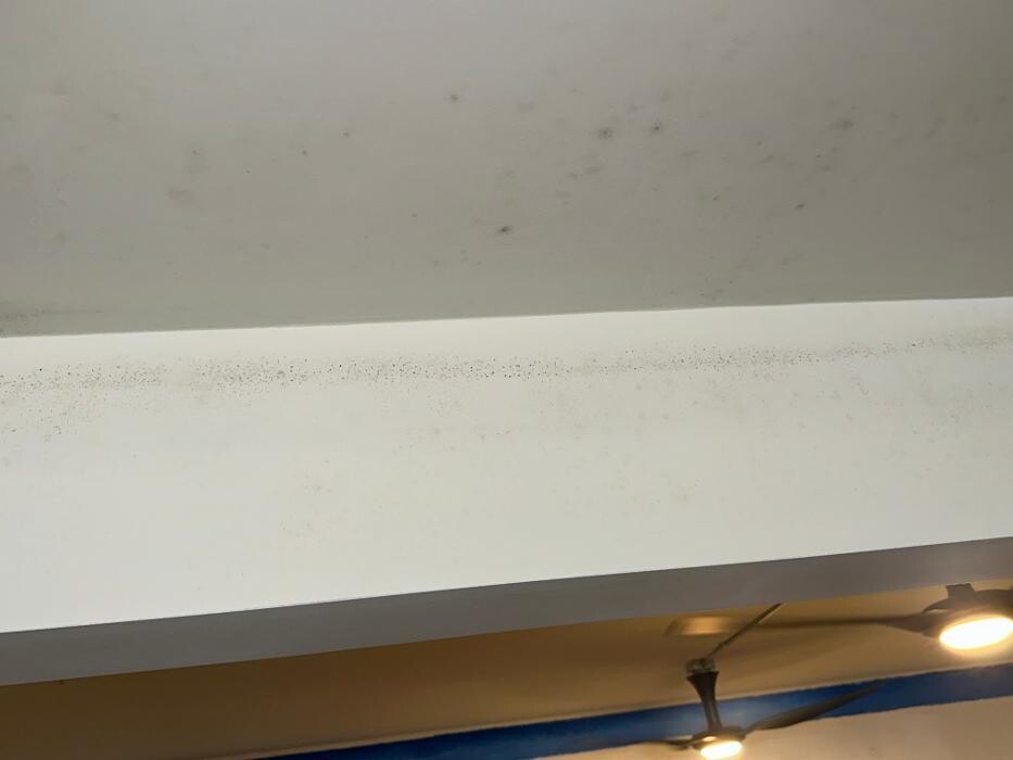 Images Guaranteed Property and Mold Inspection