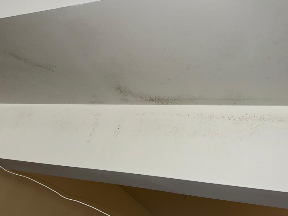 Images Guaranteed Property and Mold Inspection