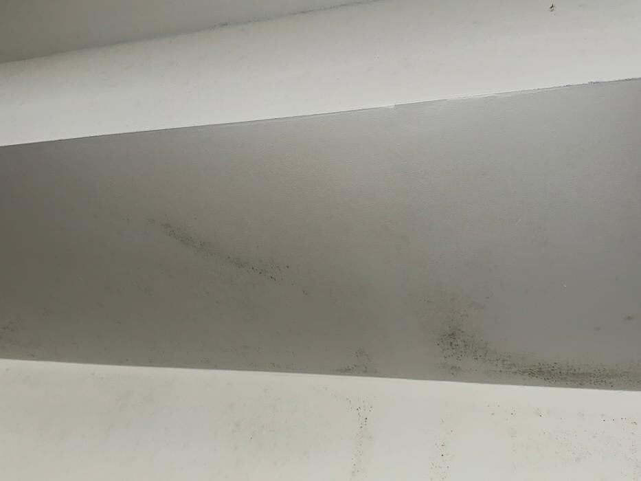 Images Guaranteed Property and Mold Inspection