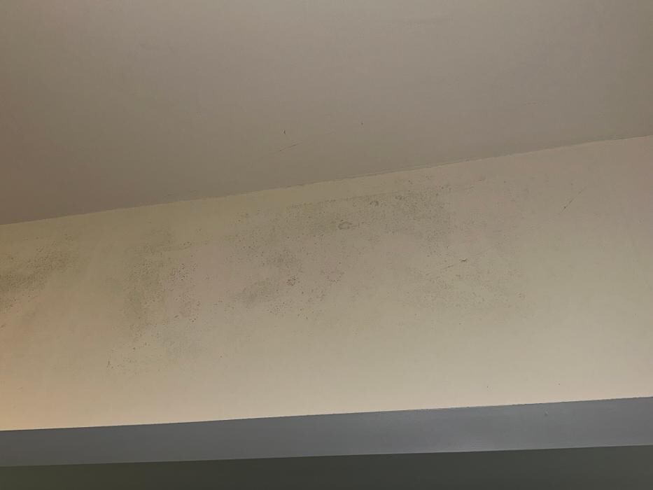 Images Guaranteed Property and Mold Inspection