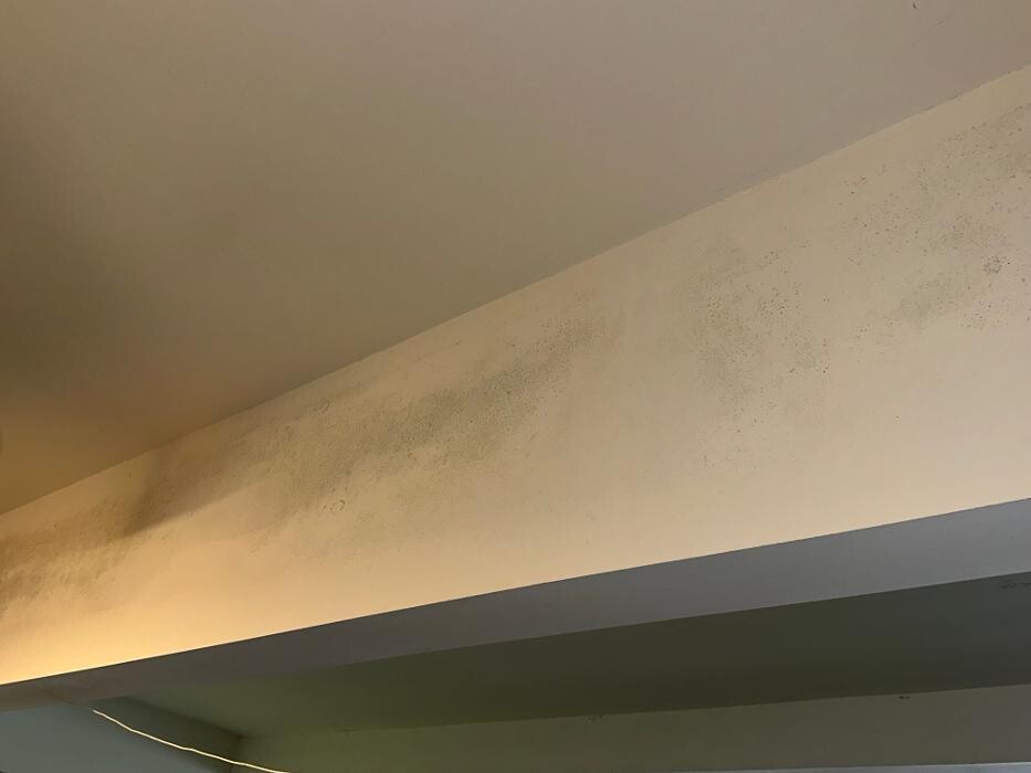 Images Guaranteed Property and Mold Inspection