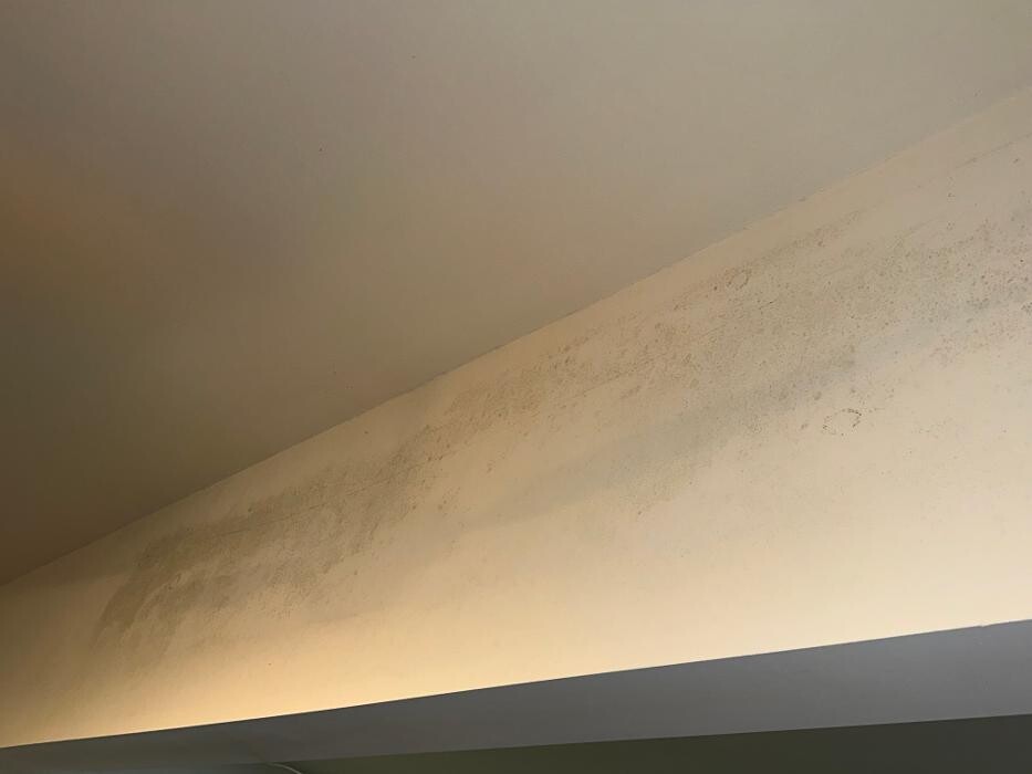 Images Guaranteed Property and Mold Inspection