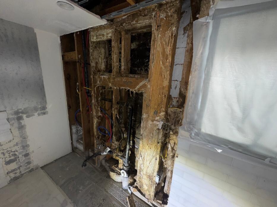 Images Guaranteed Property and Mold Inspection