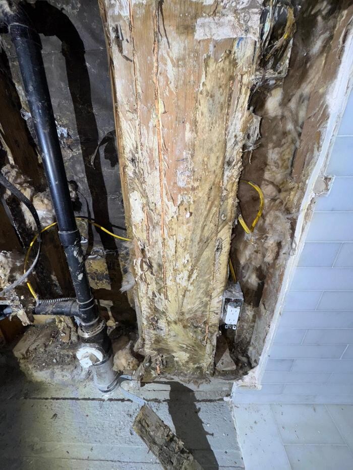 Images Guaranteed Property and Mold Inspection