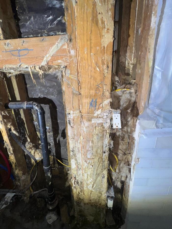 Images Guaranteed Property and Mold Inspection