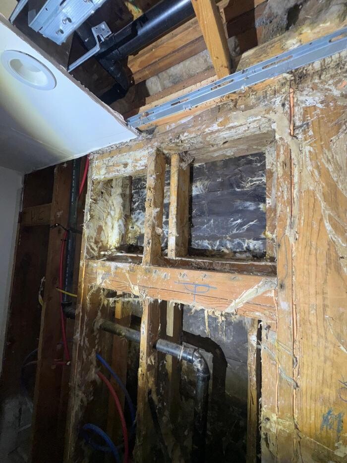 Images Guaranteed Property and Mold Inspection