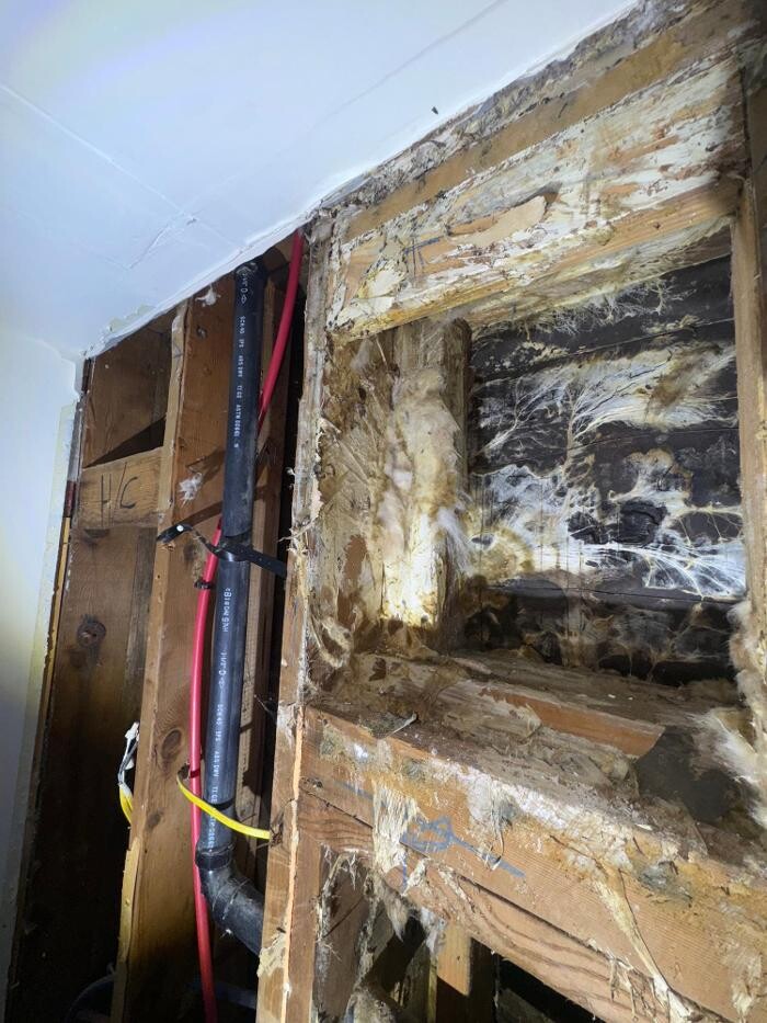 Images Guaranteed Property and Mold Inspection