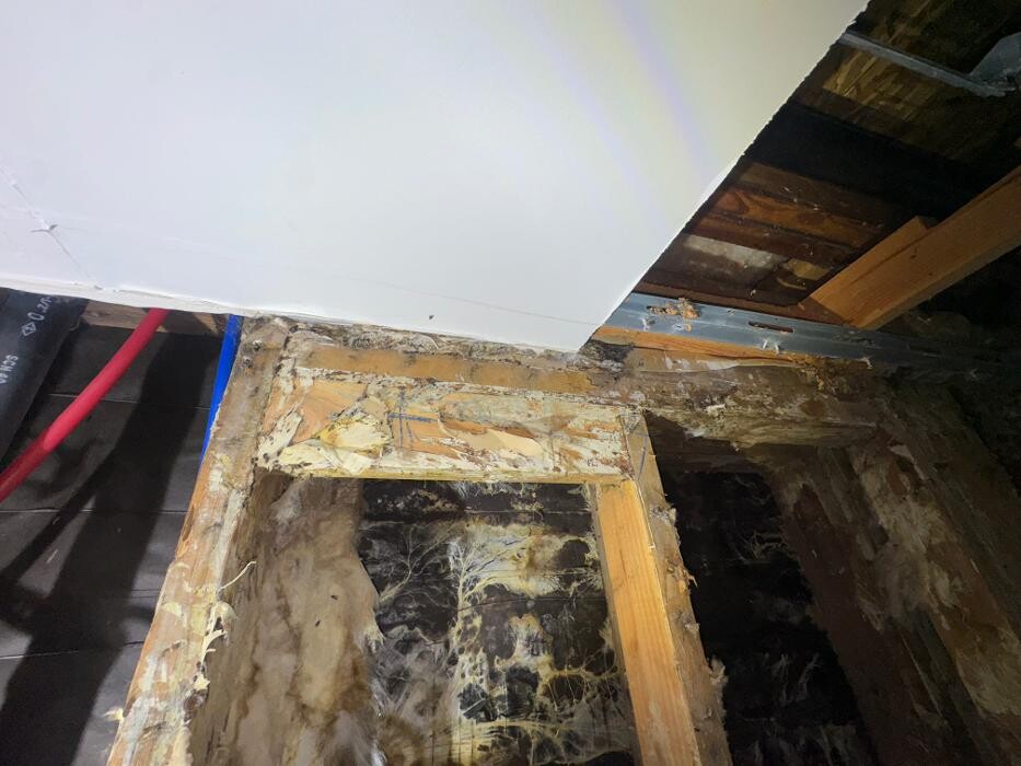 Images Guaranteed Property and Mold Inspection