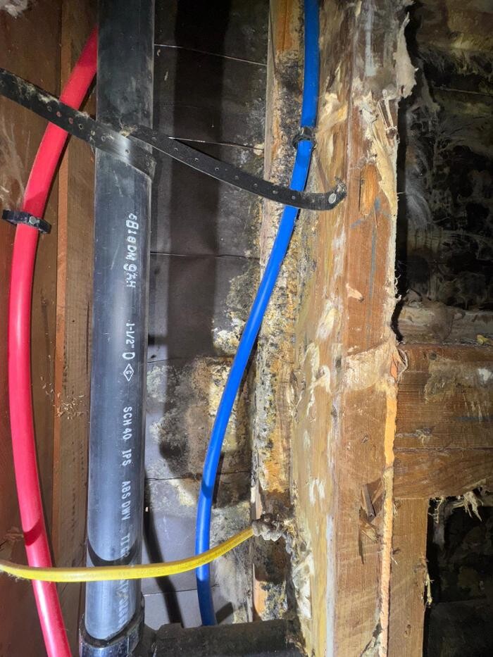 Images Guaranteed Property and Mold Inspection