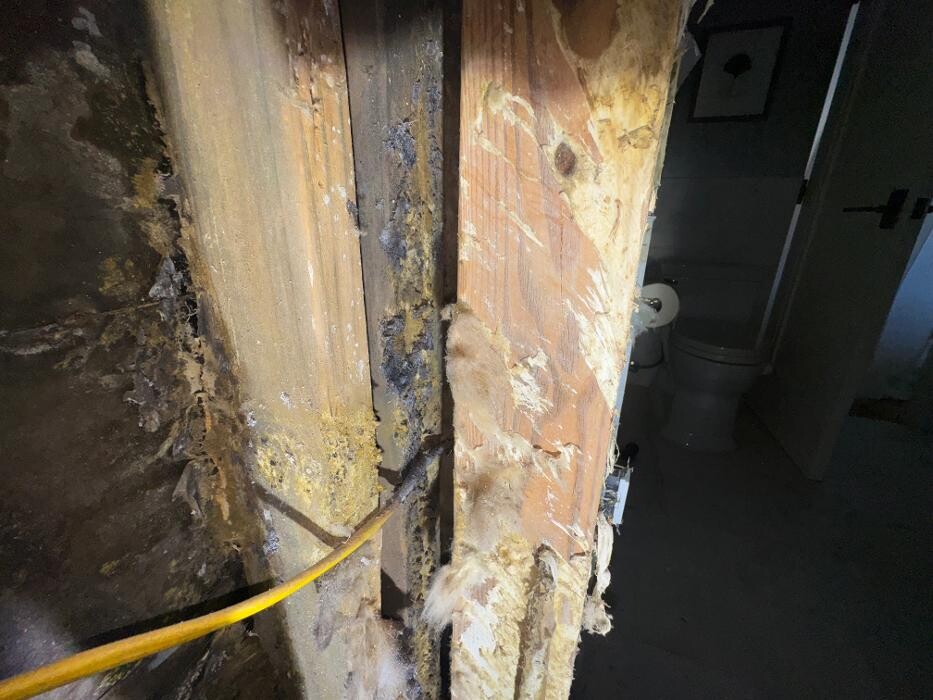 Images Guaranteed Property and Mold Inspection