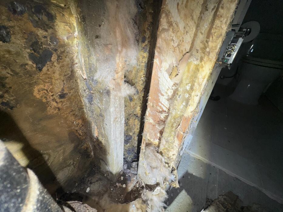 Images Guaranteed Property and Mold Inspection