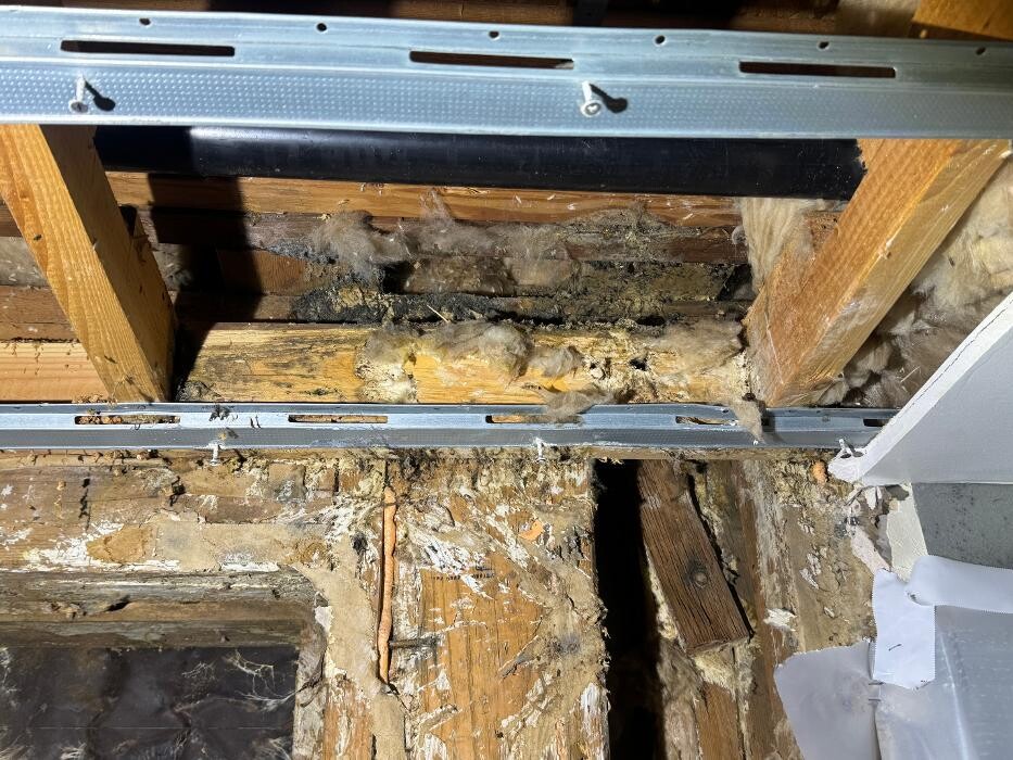 Images Guaranteed Property and Mold Inspection