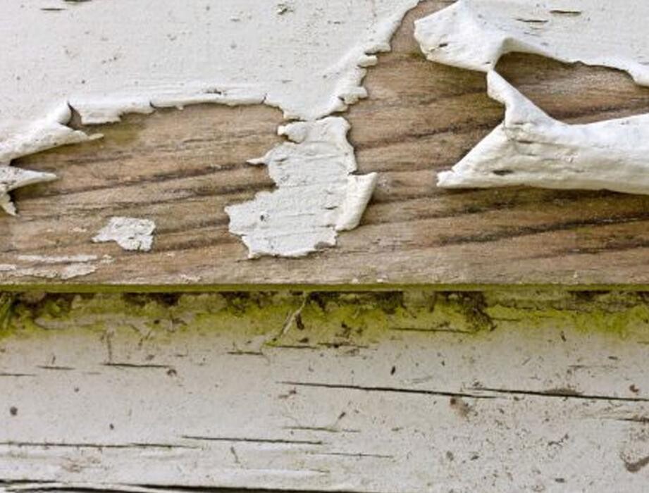 Images CertaPro Painters of Roswell, GA