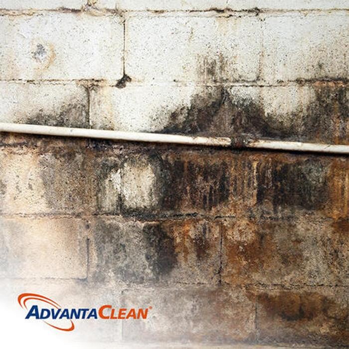 Images AdvantaClean of the West Side