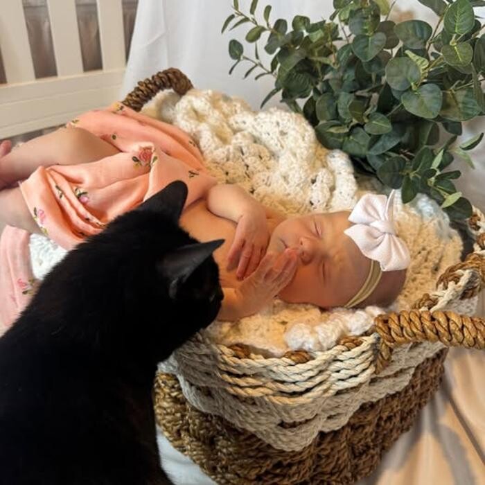 Images Fetch! Pet Care of West Trenton and Yardley