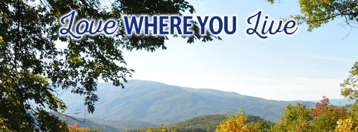 Images Mountain Realty Group