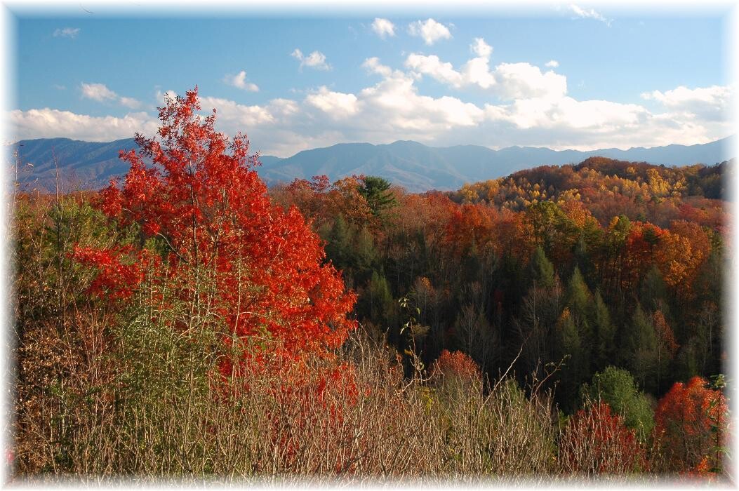 Images Mountain Realty Group