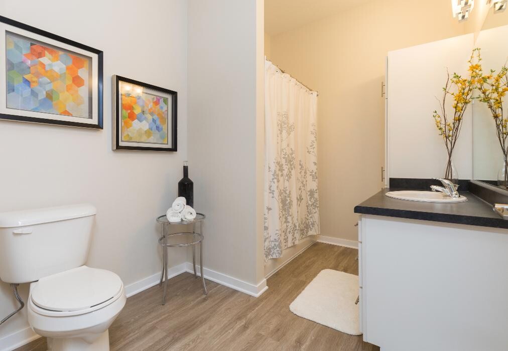 Images Cityville Apartments
