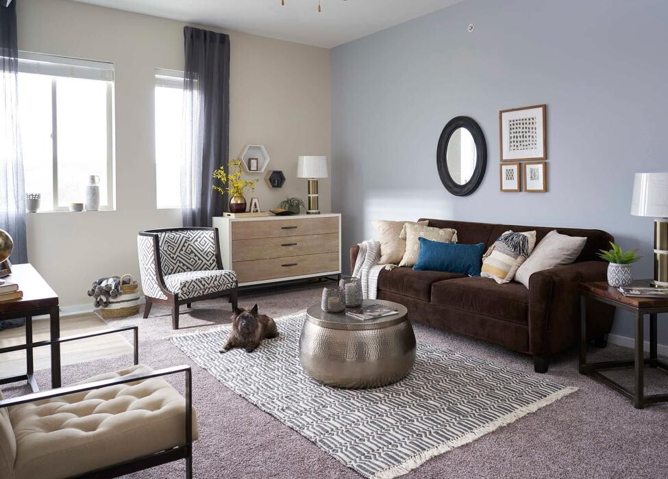 Images Cityville Apartments