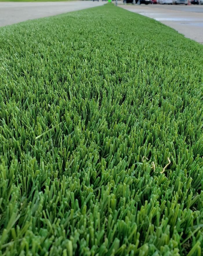 Images EVERSPRING SYNTHETIC GRASS
