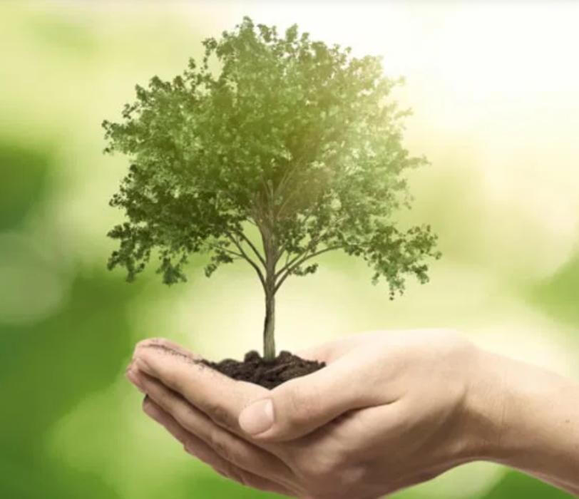 Images A&M Tree Service LLC
